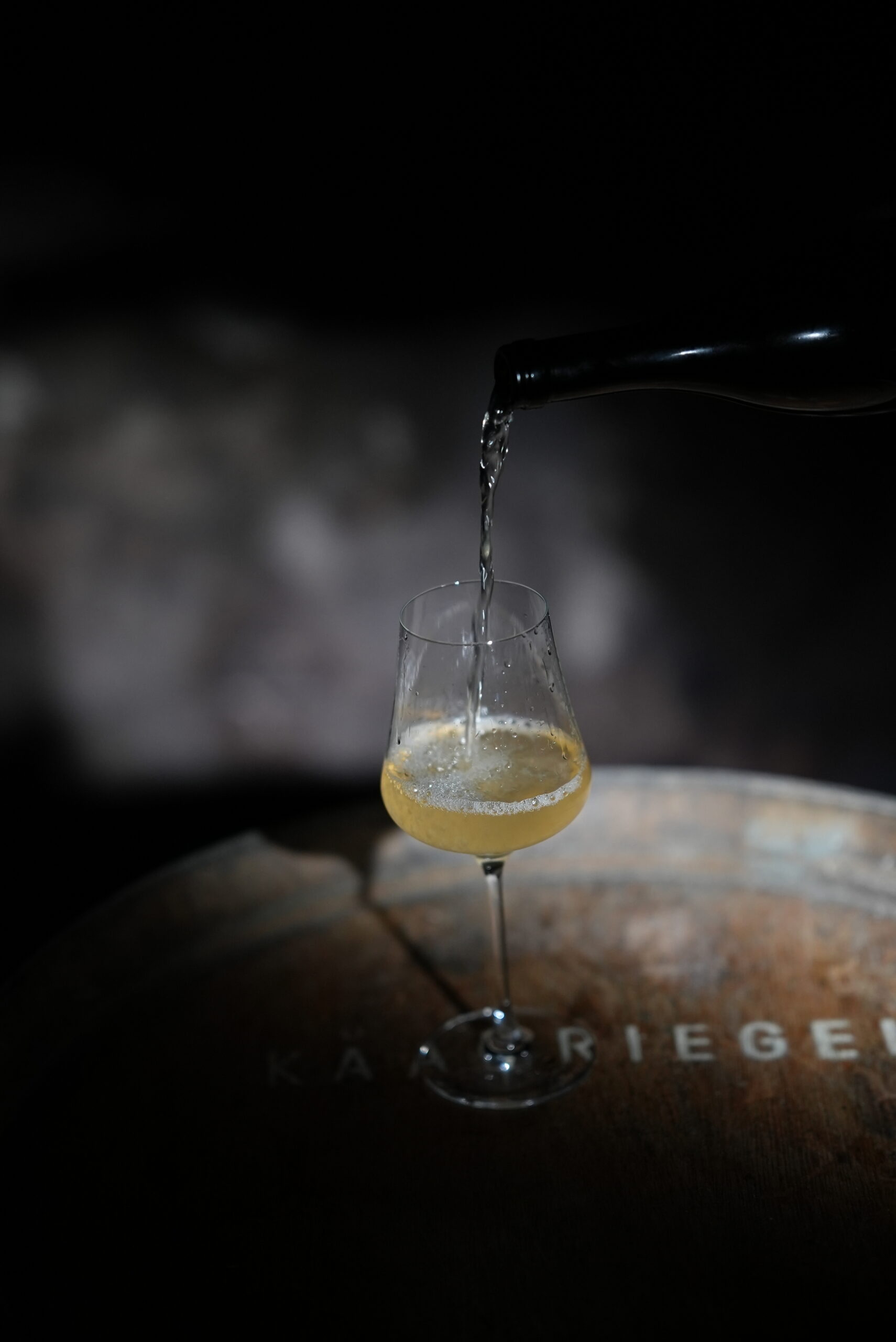 Weinlese im Weingarten